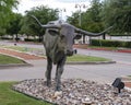 One of many bronze steers, part of the longest bronze sculpture collection in the United States in The Center at Preston Ridge.