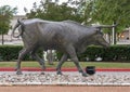 One of many bronze steers, part of the longest bronze sculpture collection in the United States in The Center at Preston Ridge.