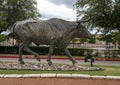 One of many bronze steers, part of the longest bronze sculpture collection in the United States in The Center at Preston Ridge.