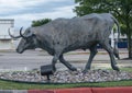 One of many bronze steers, part of the longest bronze sculpture collection in the United States in The Center at Preston Ridge.