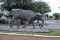 One of many bronze steers, part of the longest bronze sculpture collection in the United States in The Center at Preston Ridge.