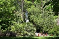 One of many of statue amount tropical vegetation in Jardines del Buen Retiro, Madrid, capital of