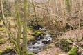 Elterwater stream Royalty Free Stock Photo