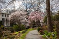 Reston Virginia Walkable Path in Springtime Royalty Free Stock Photo