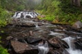 Waterfall on Paradise River, Mt. Rainier National park, Washington State Royalty Free Stock Photo