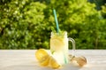 Summer healthy non alcoholic cocktails, citrus infused water drinks, lemonades with lime lemon or orange, diet detox beverages. Royalty Free Stock Photo