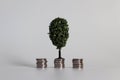 One miniature tree with three identical coin piles.