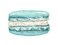 Watercolor mint green macaron