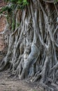 One more view of the decayed temple in Wat Mahathat area.