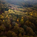 Aerial drone shot of autumn at Yew Tree Tarn in the English Lake District National Park