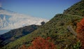 Beautiful image of the Etna Volcano