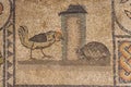 Aquileia`s mosaic