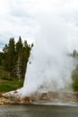 One of the most picturesque and predictable geysers in Yellowstone National Park