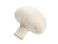 One Mushroom champignon isolated on white background, with clipping path Royalty Free Stock Photo