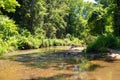 Beautiful creek view in the woods of pigeon creek