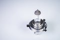 One new halogen light with an H4 cinder on a grey gradient background. New car parts for external car lighting systems Royalty Free Stock Photo