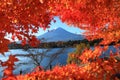View of autumn foliage with Mount Fuji at lake Kawaguchi in Yamanashi, Japan Royalty Free Stock Photo