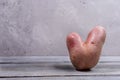 One non-standard ugly V-shaped fresh raw potato standing on grey wooden table on concrete wall background. Copy space
