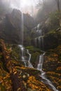 Water cascading over moss covered rock Royalty Free Stock Photo