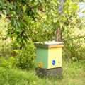 one nucleus hive in garden on green grass. Beekeeping and queenbee-breeding for artificial insemination. Royalty Free Stock Photo