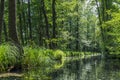 One of the numerous water canals in biosphere reserve Spree forest Spreewald in Germany