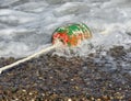 One old battered buoy in the sea waves