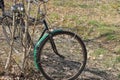 one old bicycle stands near white trees in nature