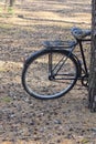 one old black bicycle stands near a tree on brown ground