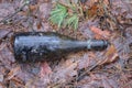 one old black green glass bottle lies on the ground Royalty Free Stock Photo