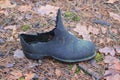 one old black torn rubber boot stands on the ground Royalty Free Stock Photo