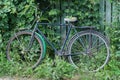 one old blue bicycle stands against a wooden fence Royalty Free Stock Photo