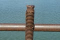 One old brown long iron pin in rust with thread