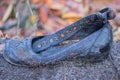 one old dirty black leather sandal shoe stands on the gray ground Royalty Free Stock Photo