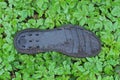 one old dirty black plastic insole shoe sole