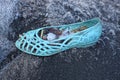 One old dirty blue plastic sandal Royalty Free Stock Photo