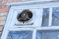 one old dirty fan on the glass of a white window on a brown brick wall Royalty Free Stock Photo