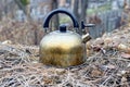 One old dirty metal teapot stand on gray dry branches