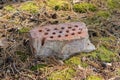 one old dirty red brick lies on green moss Royalty Free Stock Photo