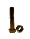 One old fulfilled bolt with a nut Royalty Free Stock Photo