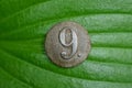 One old gray aluminum button with the number nine Royalty Free Stock Photo