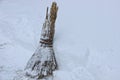 One old gray broom in white snow