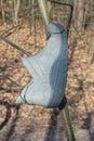 one old gray rubber boot hanging on a tree branch Royalty Free Stock Photo