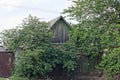 One old gray wooden attic of a rural house overgrown with green vegetation Royalty Free Stock Photo