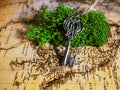 One old key lies on the moss on the background of an old map, the key to treasure, travel and adventure Royalty Free Stock Photo