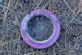one old lilac ceramic dirty cup stands on gray dry pine needles