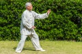 One old man exercising kung fu in fuxing park shanghai china