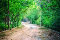 One old monk walks in the forest Royalty Free Stock Photo