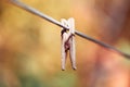 One old retro clothespin wooden on a linen rope. Work on the house, washing, drying linen. Abstract yellow orange autumn Royalty Free Stock Photo