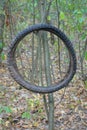 one old round black bicycle tire hanging on a tree branch Royalty Free Stock Photo