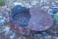 one old rusty broken iron brown barrel with a lid
